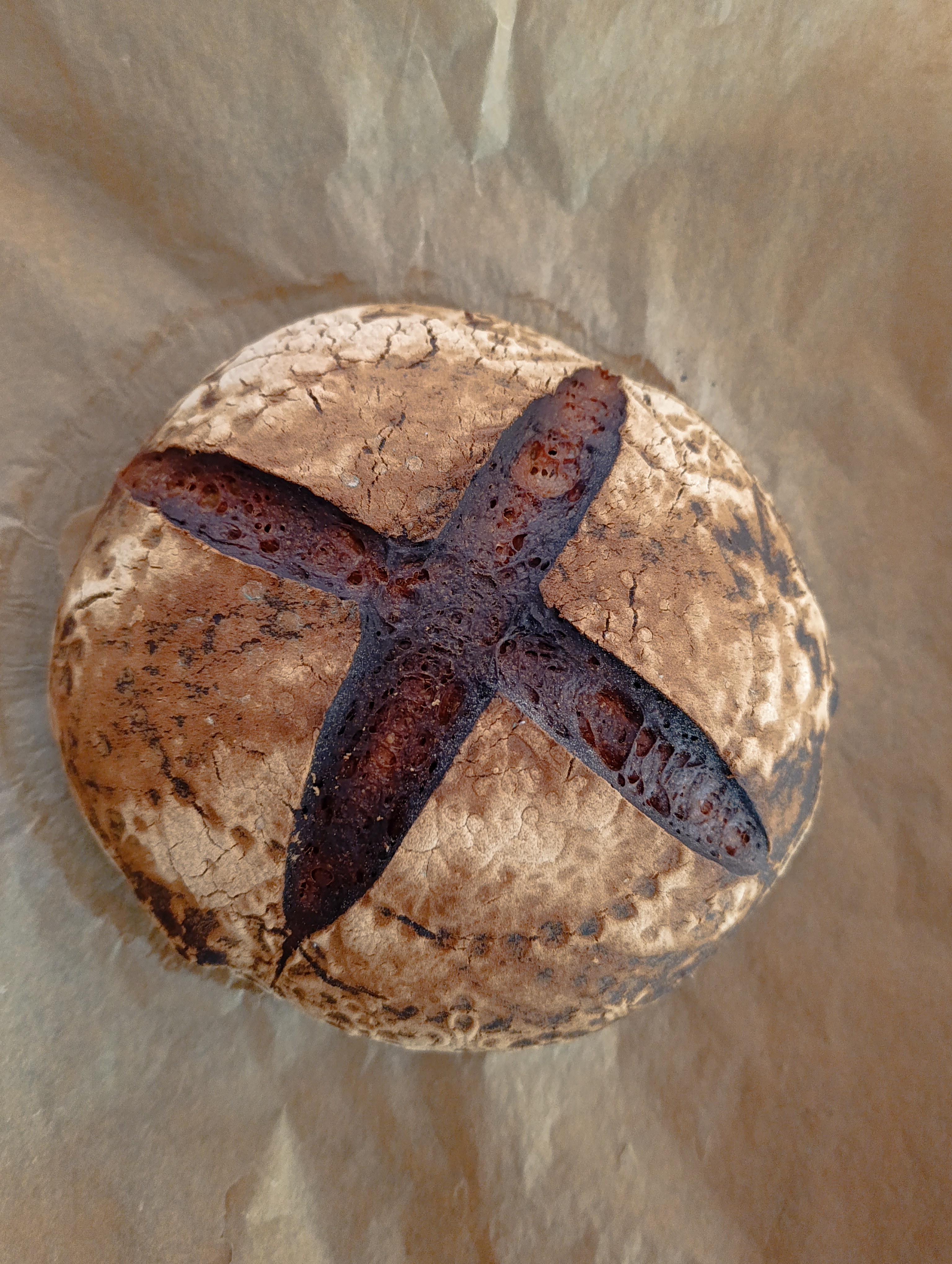 bread